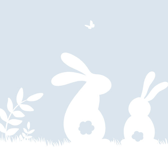 Fensterfolie static window border Lovely Rabbits image number null